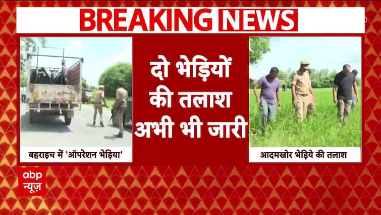 Wolf Terror In UP: Captured Wolf Released at Gorakhpur Zoo | Breaking News