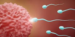 Health Tips: ਕਿੰਨੇ ਸਕਿੰਟ ਚ Sperm ਬਣਾਉਂਦਾ ਹੈ ਇਕ ਆਦਮੀ, ਸੁਣਕੇ ਮਨ ਕੰਬ ਜਾਵੇਗਾ