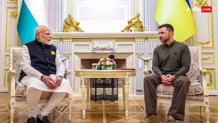 Volodymyr Zelensky proposed summit in India to push plan to end Russia Ukraine War रूस-यूक्रेन जंग खत्म करने के लिए जेलेंस्की ने बनाया नया प्लान! जानें पीएम मोदी से इसका क्या है कनेक्शन