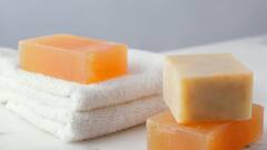 Soap Lasting Long: গলে যাবে না, এক সাবান চলবে অনেক দিন, এই উপায়ে...