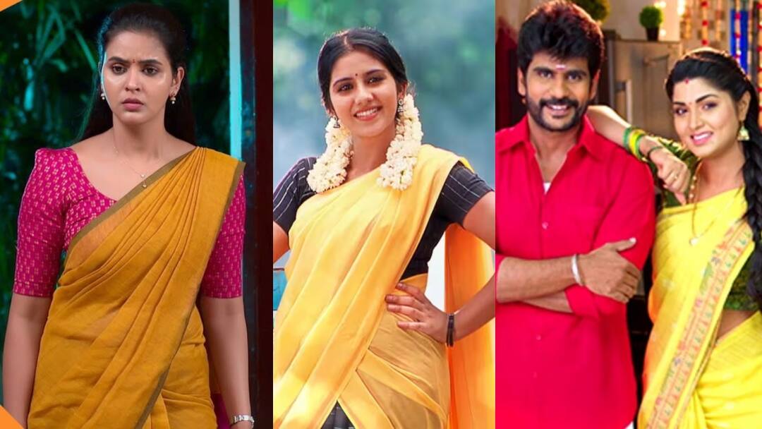 TRP rating 34th week : முதல் 5 இடங்களை தூக்கிய சன் டிவி... பின் தள்ளப்பட்ட விஜய் டிவி... டிஆர்பி ரேட்டிங் லிஸ்ட் இதோ 34th TRP rating list has been revealed sun tv vijay tv kayal singapenne vanathai pola siragadikka aasai TRP rating 34th week : முதல் 5 இடங்களை தூக்கிய சன் டிவி... பின் தள்ளப்பட்ட விஜய் டிவி... டிஆர்பி ரேட்டிங் லிஸ்ட் இதோ