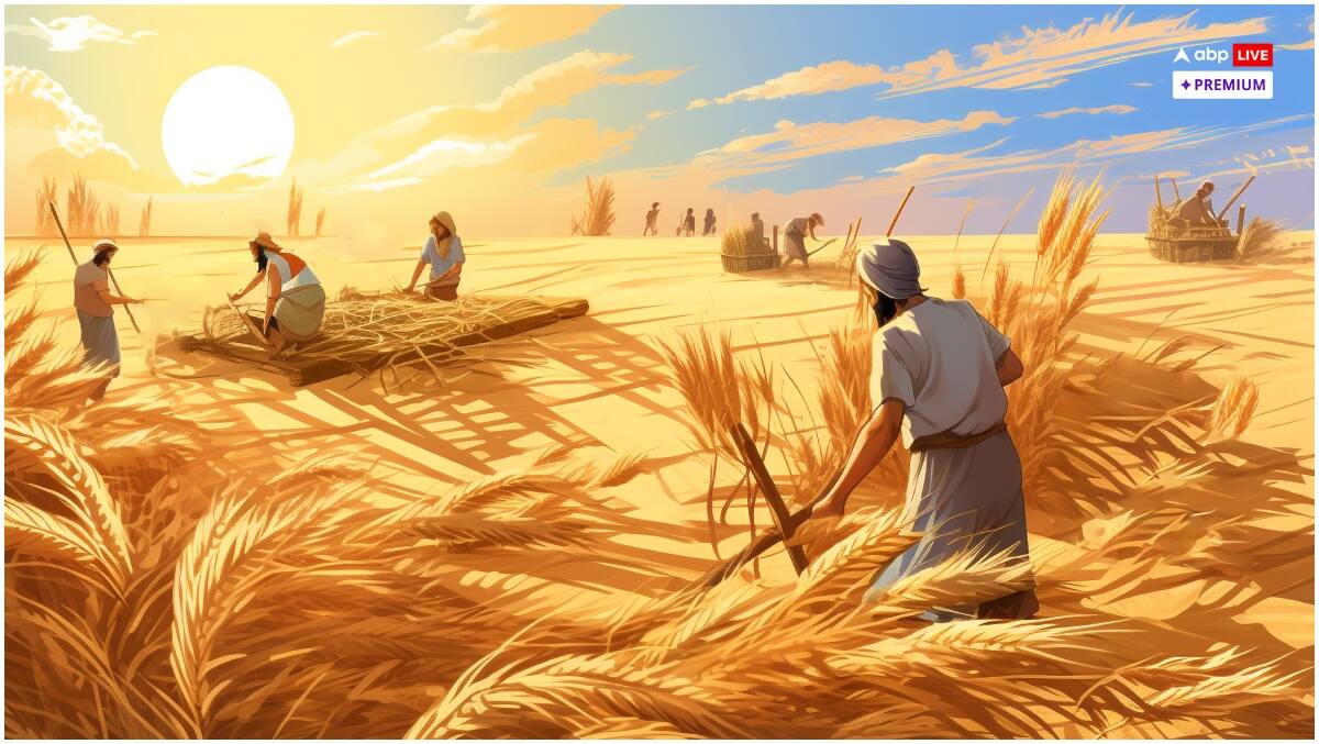 पंजाब-हरियाणा को पीछे छोड़ अनाज उत्पादन में तेलंगाना कैसे बना गया नंबर वन?