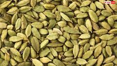 Cardamom Benefits: खाली पेट इस तरीके से खाएंगे इलायची तो शरीर में होगा गजब का ट्रांसफॉर्मेशन