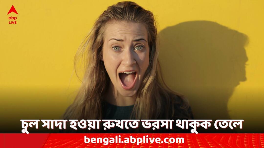 hair care tips grey hair problem use these homemade hair oils Grey Hair: মাঝেমধ্যেই উঁকি দিচ্ছে দু-একটা সাদা চুল? বাড়িতে তৈরি করা তেল দিয়েই মিটবে সমস্যা