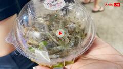 ऐसा नाश्ता जो आपकी थाली से उछल-उछल कर बाहर भागता है, हैरान करने वाला वीडियो आया सामने