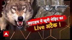 Bahraich Wolf Attack: बहराइच में खूनी भेड़िए का Live अटैक ! Sansani | ABP News