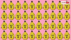 मजेदार तस्वीर में छिपा है अलग दिखने वाला पाइनएप्पल, 15 सेकंड में जवाब देने वालों को बधाई