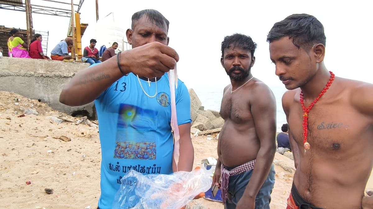 திருச்செந்தூரில் மீண்டும் பக்தர்களை பதம்பார்க்கும் ஜெல்லி மீன்கள் -பாதுகாப்பாக குளியுங்கள்