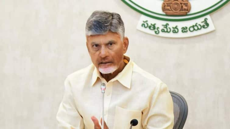 cm chandrababu naidu reviewed heavy rains in ap with officials through teleconference AP Rains : ఏపీలో భారీ వర్షాలు - అధికారులు, ప్రజలకు సీఎం చంద్రబాబు సూచనలు