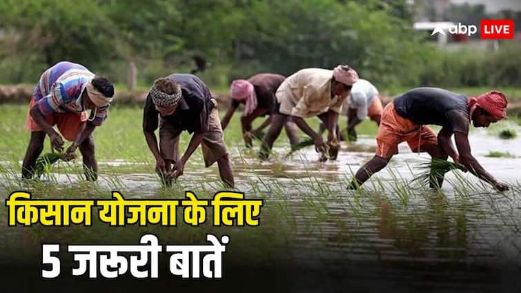 पीएम किसान योजना का लाभ लेना है तो इन पांच बातों का जरूर रखें खयाल pm kisan yojana if you want to take benefits in the scheme you should know these five important things पीएम किसान योजना का लाभ लेना है तो इन पांच बातों का जरूर रखें खयाल