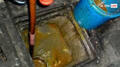 किस तरह निकाला जाता है गटर ऑयल? सेहत के लिए कितना है नुकसानदायक