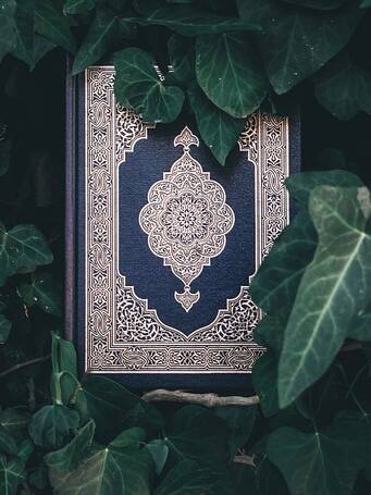 कुरान के अपमान पर कौनसी सजा?