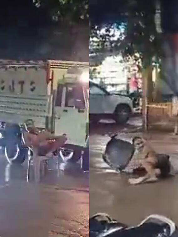 प्रतापगढ़ में बीच सड़क पर कुर्सी डाल बैठा शख्स, ट्रक ने निकाली हेकड़ी