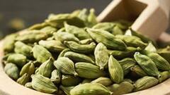 Cardamom Benefits: মেদ ঝরবে, বয়স যেন বাড়তেই চাইবে না- খালি পেটে যদি খান এই মশলা