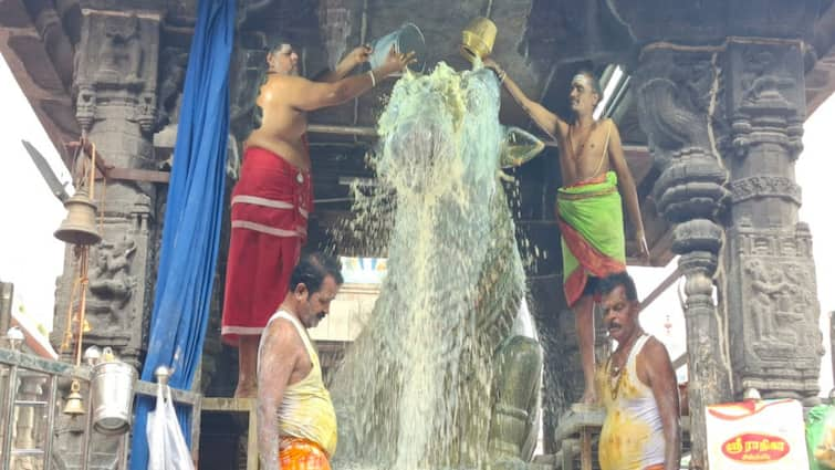 Tiruvannamalai arunachaleshwara temple Shani Pradosha for Lord Nandi திருவண்ணாமலை அருள்மிகு அருணாசலேசுவரர் திருக்கோவிலில் நந்தி பகவானுக்கு சனி பிரதோஷம்