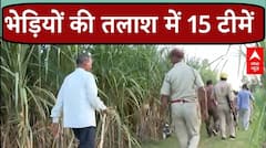 Bahraich Wolf: बहराइच में 2 भेड़ियों की तलाश में लगीं वन विभाग की 15 टीमें | UP News