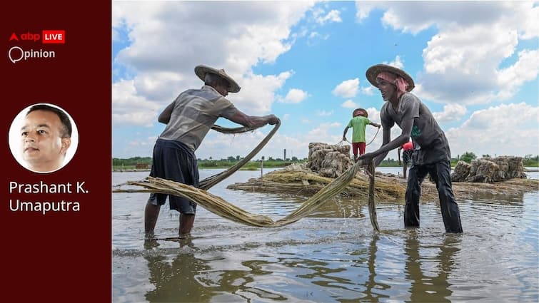 10 Years Of Jan Dhan: Modi Govt Scheme For Financial Inclusion Is Great. But Where Should It Go Next?  Opinion | 10 Years Of Jan Dhan: Modi Govt Scheme For Financial Inclusion Is Great. But Where Should It Go Next? 