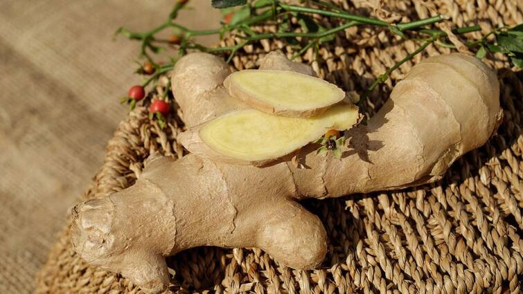 Having a Piece of Ginger in the Morning Will improve your Health What Expert Says detox drink Ginger: தினமும் ஒரு துண்டு இஞ்சி.. மேஜிக் நடக்குமா? தெரிஞ்சுக்க இதைப் படிங்க..