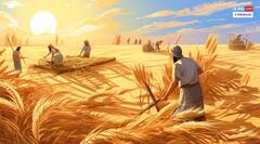 પંજાબ-હરિયાણાને પાછળ છોડી અનાજ ઉત્પાદનમાં તેલંગાણા કઈ રીતે બન્યું નંબર વન ? 