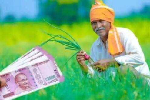 PM કિસાન સન્માન નિધિ યોજના એ વિશ્વની સૌથી મોટી DBT યોજના છે, જે અંતર્ગત અત્યાર સુધીમાં 11 કરોડથી વધુ લાભાર્થી ખેડૂતોને 17 હપ્તામાં ₹3.25 લાખ કરોડથી વધુની રકમ ટ્રાન્સફર કરવામાં આવી છે.
