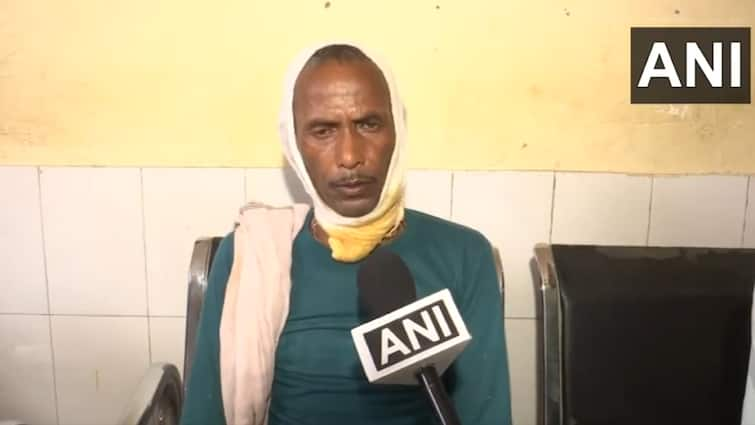 Bahraich Wolf Attack Man eating again innocent child and elderly treatment continues in hospital Bahraich Wolf Attack: आदमखोर भेड़िए का फिर से हमला, मासूम बच्चे और बुजुर्ग का अस्पताल में इलाज जारी