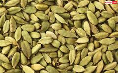 Cardamom Benefits: ਖਾਲੀ ਪੇਟ ਇਸ ਤਰੀਕੇ ਨਾਲ ਖਾਓਗੇ ਇਲਾਇਚੀ ਤਾਂ ਹੌਲੀ-ਹੌਲੀ ਸਰੀਰ 'ਚ ਹੋਵੇਗਾ ਜ਼ਬਰਦਸਤ Transformation