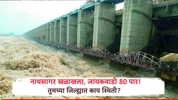 Marathwada Dam Water Update Jayakwadi cross 80 percent Know the dam water storage in your district Maharashtra Rain मराठवाड्याची चिंताच मिटली, जायकवाडी 80 पार!  तुमच्या जिल्ह्यातील धरणं कुठपर्यंत?