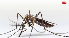 दिमाग को अंदर से हिला सकता है Triple E इंफेक्शन, आ सकती हैं ये समस्याएं