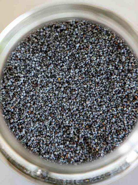 घर पर कैसे उगाएं चीया सिड्स