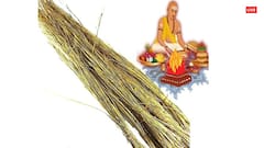 Bhadrapada Amavasya 2024: भाद्रपद अमावस्या पर कुशा से करें ये उपाय, सालभर नहीं होगी पैसों की तंगी