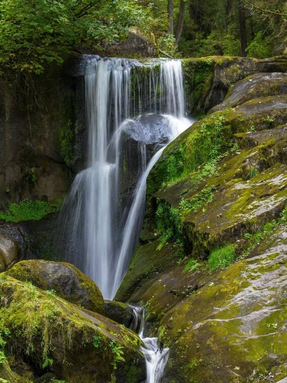 ये हैं दिल्ली के नजदीक 10 शानदार वाटरफॉल