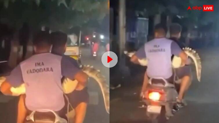 Two people are riding a scooter with a crocodile in Vadodara Gujarat video goes viral मोटरसाइकिल पर खूंखार मगरमच्छ के साथ लड़कों ने की राइड, इसके बाद जो हुआ हैरान कर देगा, देखें वीडियो