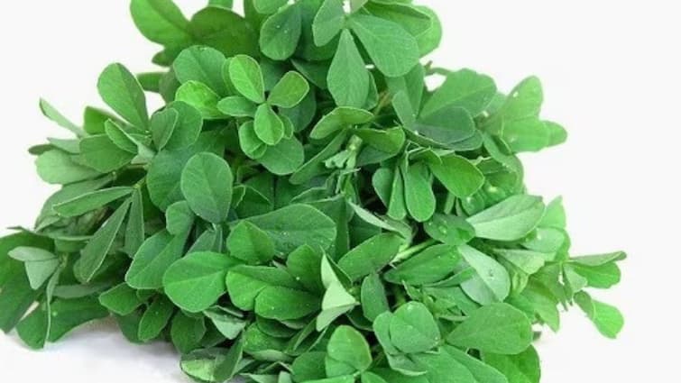 Fenugreek Leaves Health Benefits why you should add fenugreek leaves in your diet Fenugreek Leaves Health Benefits: শুধু মেথি ভেজানো জল নয়, মেথিশাকেও রয়েছে প্রচুর গুণ, কেন খাবেন মেথিশাক?