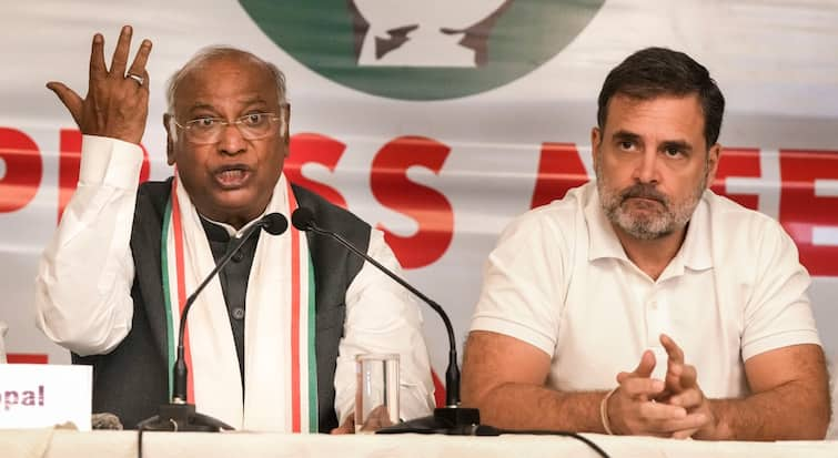 Rahul Gandhi Never Insulted India Congress President Mallikarjun Kharge Hits Back At BJP Rahul Gandhi in US RSS Rahul Gandhi ‘Has Never Insulted India, Will Never...’: Congress Chief Kharge Hits Back At BJP