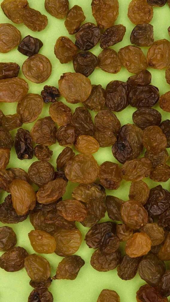 ਸਵੇਰੇ ਕਿਸ਼ਮਿਸ਼ ਅਤੇ ਕਾਲੇ ਛੋਲੇ ਭਿਓਂ ਕੇ ਖਾਣ ਨਾਲ ਹੁੰਦੇ ਬਿਹਤਰੀਨ ਫਾਇਦੇ