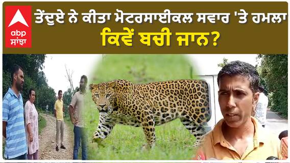 ਤੇਂਦੁਏ ਨੇ ਕੀਤਾ ਮੋਟਰਸਾਈਕਲ ਸਵਾਰ 'ਤੇ ਹਮਲਾ, ਕਿਵੇਂ ਬਚੀ ਜਾਨ?