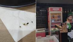 PDPU સર્કલ પાસે આવેલ Hocco ની હોટલના ખાવામાં ગરોળી કે ઉંદરની લીંડી નીકળી