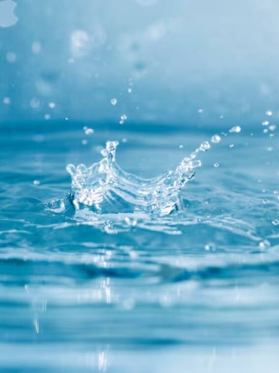 पानी को संस्कृत में क्या कहते हैं