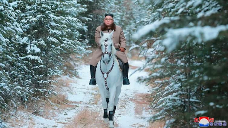 Kim Jong-Un Gets 24 Purebred Horses From Vladimir Putin As North Korea Deepens Ties With Russia Kim Jong-Un Gets 24 Purebred Horses From Putin As North Korea Deepens Ties With Russia