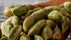 Cardamom Benefits: মেদ ঝরবে, বয়স যেন বাড়তেই চাইবে না- খালি পেটে যদি খান এই মশলা