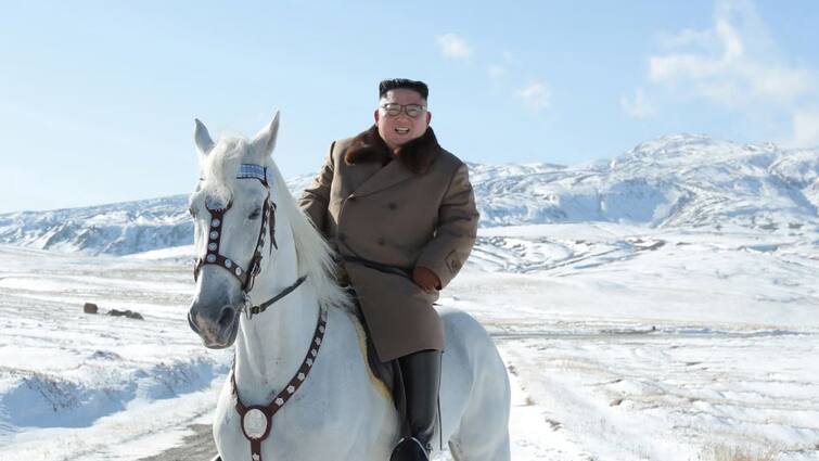 Vladimir Putin gifts Kim Jong un 24 purebred horses Viral News: అరుదైన గుర్రాలను గిఫ్ట్‌గా ఇచ్చిన పుతిన్‌, తెగ మురిసిపోతున్న కిమ్‌