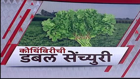 ऐन सणासुदीत महागाईचा तडका; कोथिंबीरच्या एका जुडीला 200 रुपयांचा भाव, तर मेथीला 110 रुपयांचा दर ऐन सणासुदीत महागाईचा तडका; कोथिंबीरच्या एका जुडीला 200 रुपयांचा भाव, तर मेथीला 110 रुपयांचा दर
