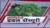 ऐन सणासुदीत महागाईचा तडका; कोथिंबीरच्या एका जुडीला 200 रुपयांचा भाव, तर मेथीला 110 रुपयांचा दर