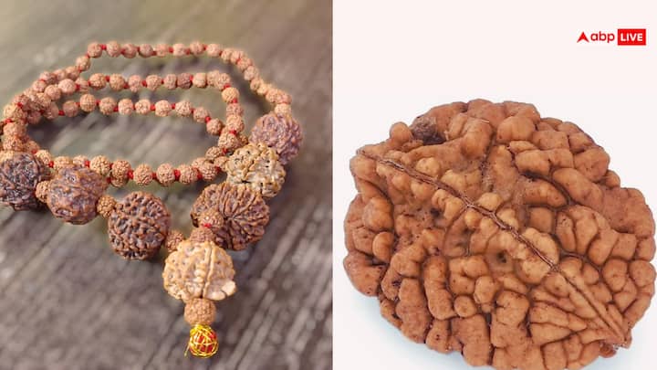 रुद्राक्ष ईश्वरीय गुणों से समाहित होता है और ये सकारात्मक ऊर्जा से भरा होता है जिसमें भीनी-सी सुगंध भी होती है. जबकि भद्राक्ष किसी भी तरह की पूजा-अनुष्ठान में काम में नहीं लाया जाता है. भद्राक्ष को मृत्यु का प्रतीक माना जाता है.