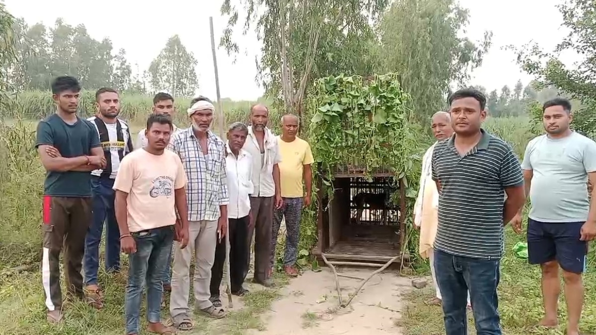 Hapur: नवादा गांव में तेंदुए की दस्तक, दहशत में ग्रामीण, वन विभाग ने शुरू किया सर्च अभियान