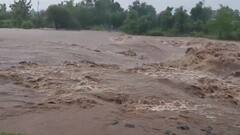 Rain: ડાંગના વઘઈમાં છ ઈંચ વરસાદ, આશ્રમ શાળામાં ભરાયા પાણી