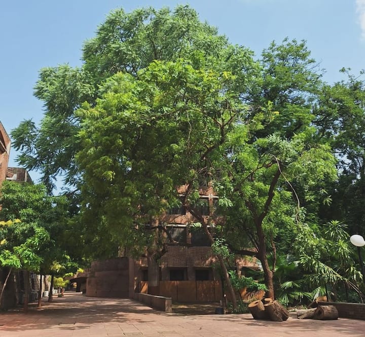 Bollywood actress and Navya's best friend Ananya Panday also commented,