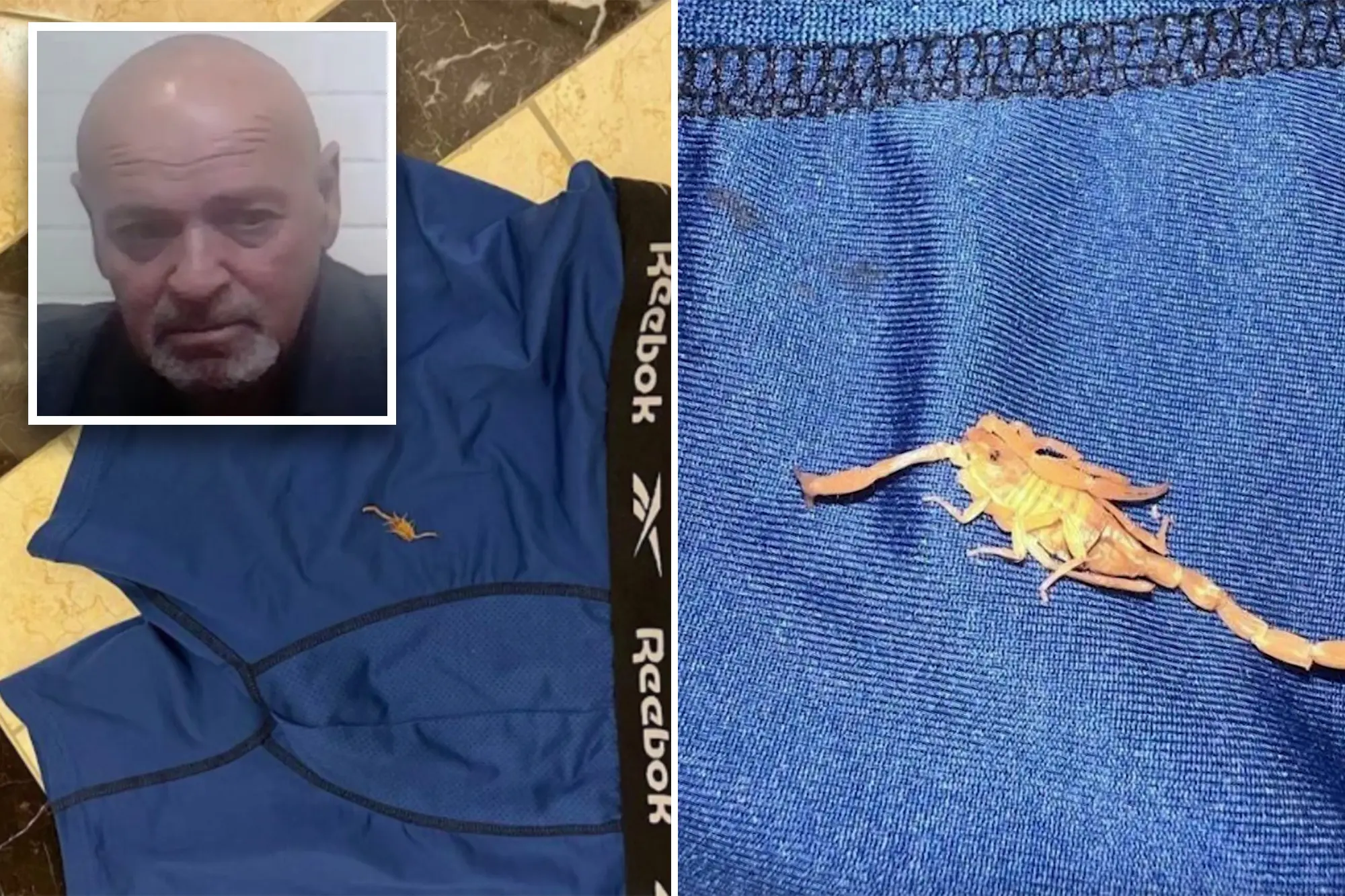 ਹੋਟਲ 'ਚ ਬੰਦੇ ਦੇ ਕਸੂਤੀ ਥਾਂ 'ਤੇ ਬਿੱਛੁ ਨੂੰ ਮਾਰਿਆ ਡੰਗ, ਜਦੋਂ ਸਰੀਰਕ ਸੰਬਧ ਲੱਗਾ ਬਣਾਉਣ ਤਾਂ...