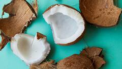 Coconut Health Benefits: ঝালমুড়িতে নারকেলের টুকরো চাই-ই আপনার, জানেন নারকেল খাওয়ার কী কী উপকার রয়েছে?