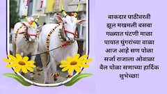 Bail Pola 2024 Wishes In Marathi : बैलपोळ्याच्या शेतकरी बांधवाला द्या खास शुभेच्छा; करा सर्जाराजाला नमन, पाठवा 'हे' शुभेच्छापर फोटो